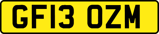 GF13OZM