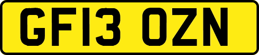 GF13OZN