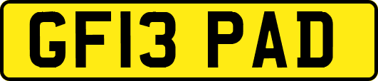 GF13PAD