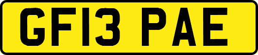 GF13PAE