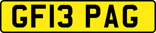 GF13PAG