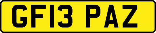 GF13PAZ