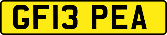 GF13PEA