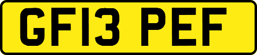 GF13PEF