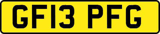 GF13PFG