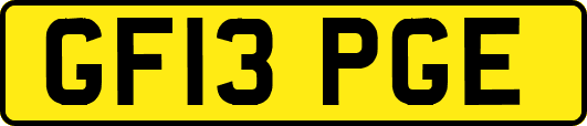 GF13PGE
