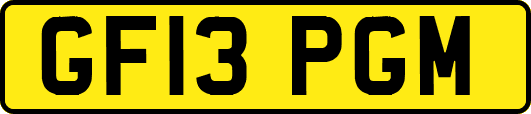 GF13PGM