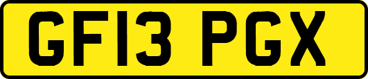 GF13PGX