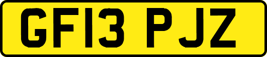 GF13PJZ
