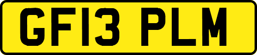GF13PLM