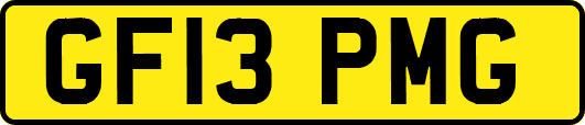 GF13PMG