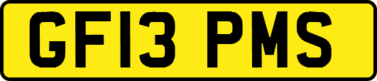GF13PMS