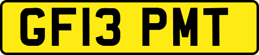 GF13PMT