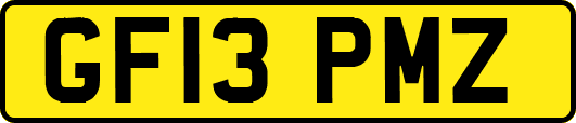GF13PMZ