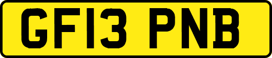 GF13PNB