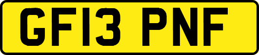 GF13PNF