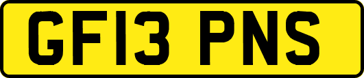 GF13PNS