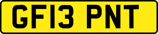 GF13PNT