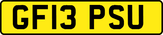 GF13PSU