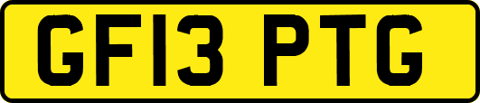 GF13PTG