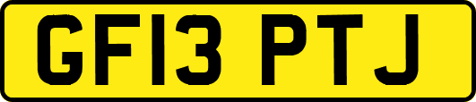 GF13PTJ
