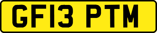 GF13PTM