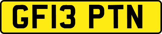 GF13PTN