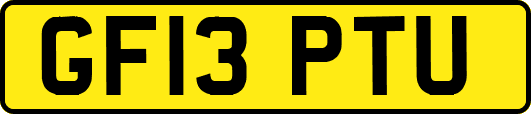GF13PTU