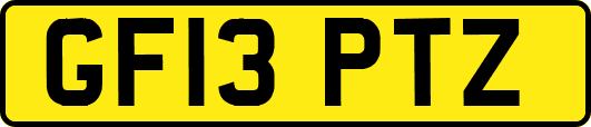 GF13PTZ