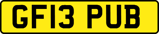 GF13PUB