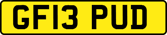 GF13PUD