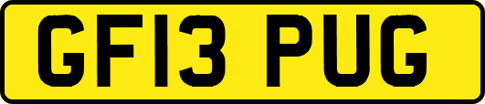 GF13PUG