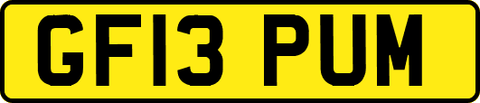 GF13PUM