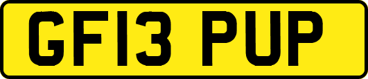 GF13PUP