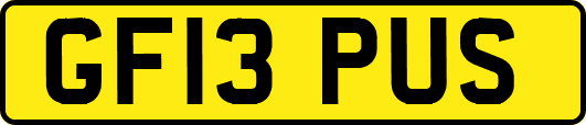 GF13PUS