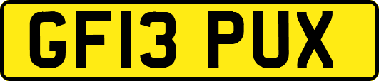 GF13PUX