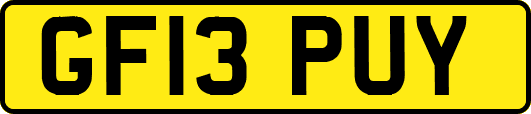 GF13PUY