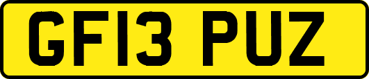 GF13PUZ