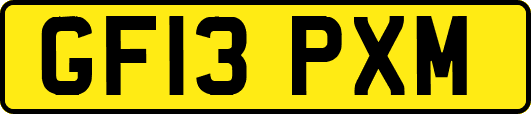 GF13PXM