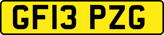 GF13PZG