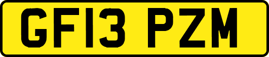 GF13PZM