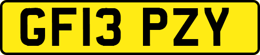 GF13PZY