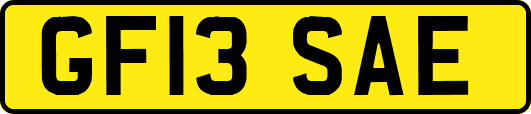 GF13SAE