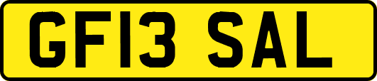 GF13SAL