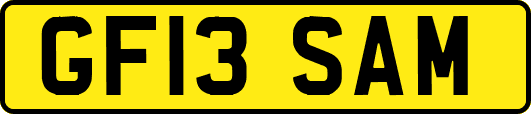 GF13SAM