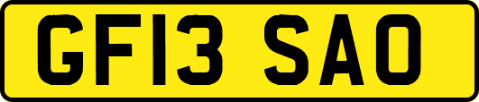 GF13SAO