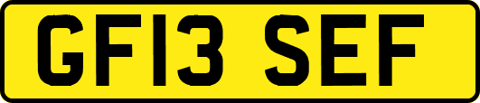 GF13SEF