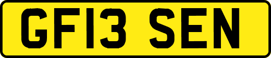 GF13SEN