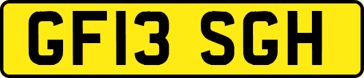 GF13SGH