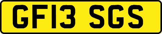 GF13SGS